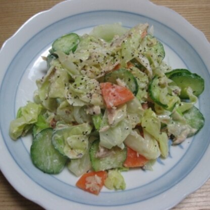 野菜がたくさんもりもり食べられました。ブラックペッパーがまたいいですね。口内炎で痛がって食べられないとぼやいていた旦那もペロリと食べてくれました。